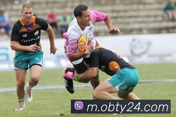 ob欧宝官网APP 封面图